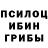Псилоцибиновые грибы GOLDEN TEACHER DebisSBB