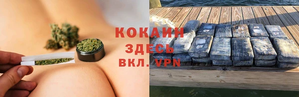 ECSTASY Белокуриха