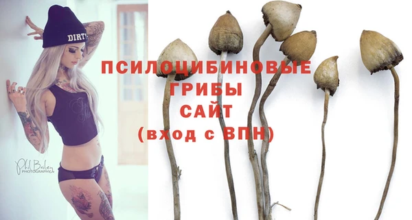 соль ск Богданович