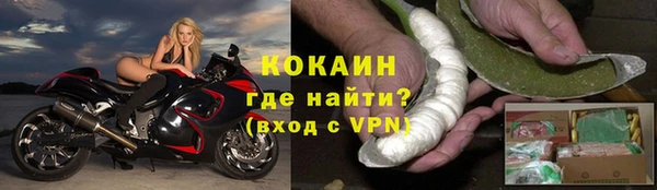 ECSTASY Белокуриха