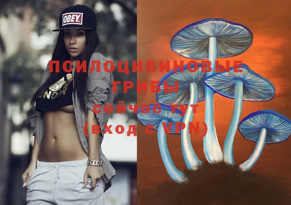 МДМА Богородицк