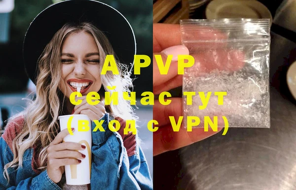 ECSTASY Белокуриха