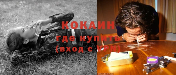 ECSTASY Белокуриха