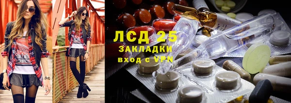 ECSTASY Белокуриха