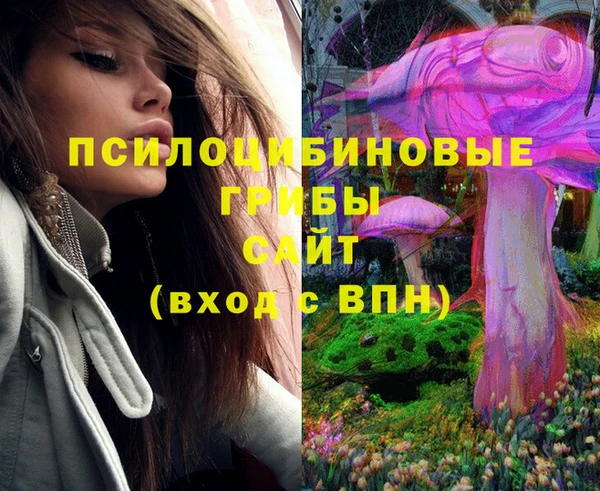 соль ск Богданович