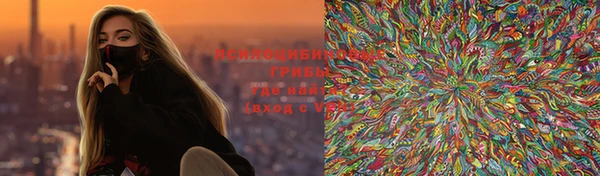 ECSTASY Белокуриха