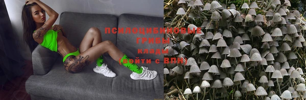 ECSTASY Белокуриха